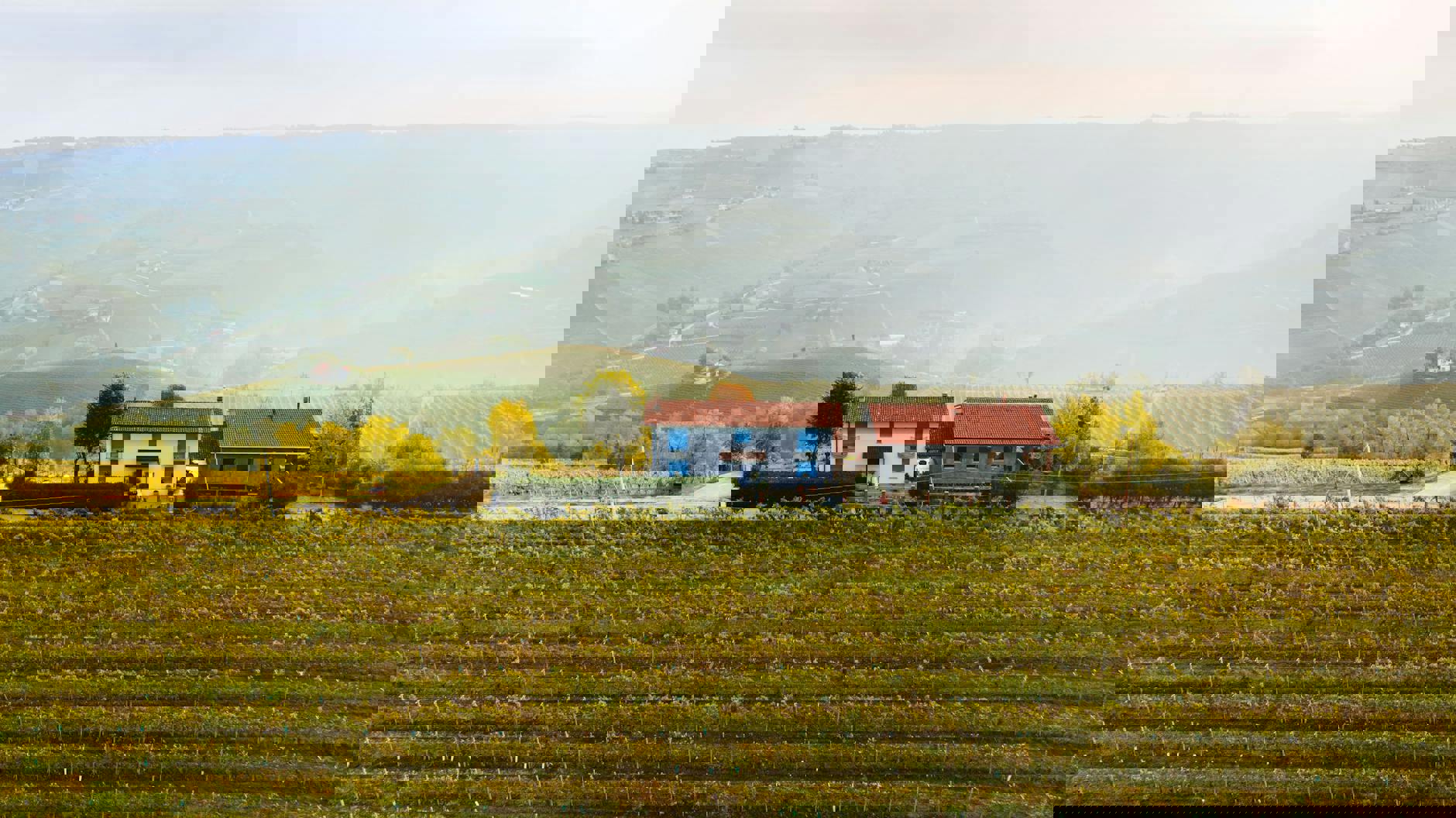 Alba