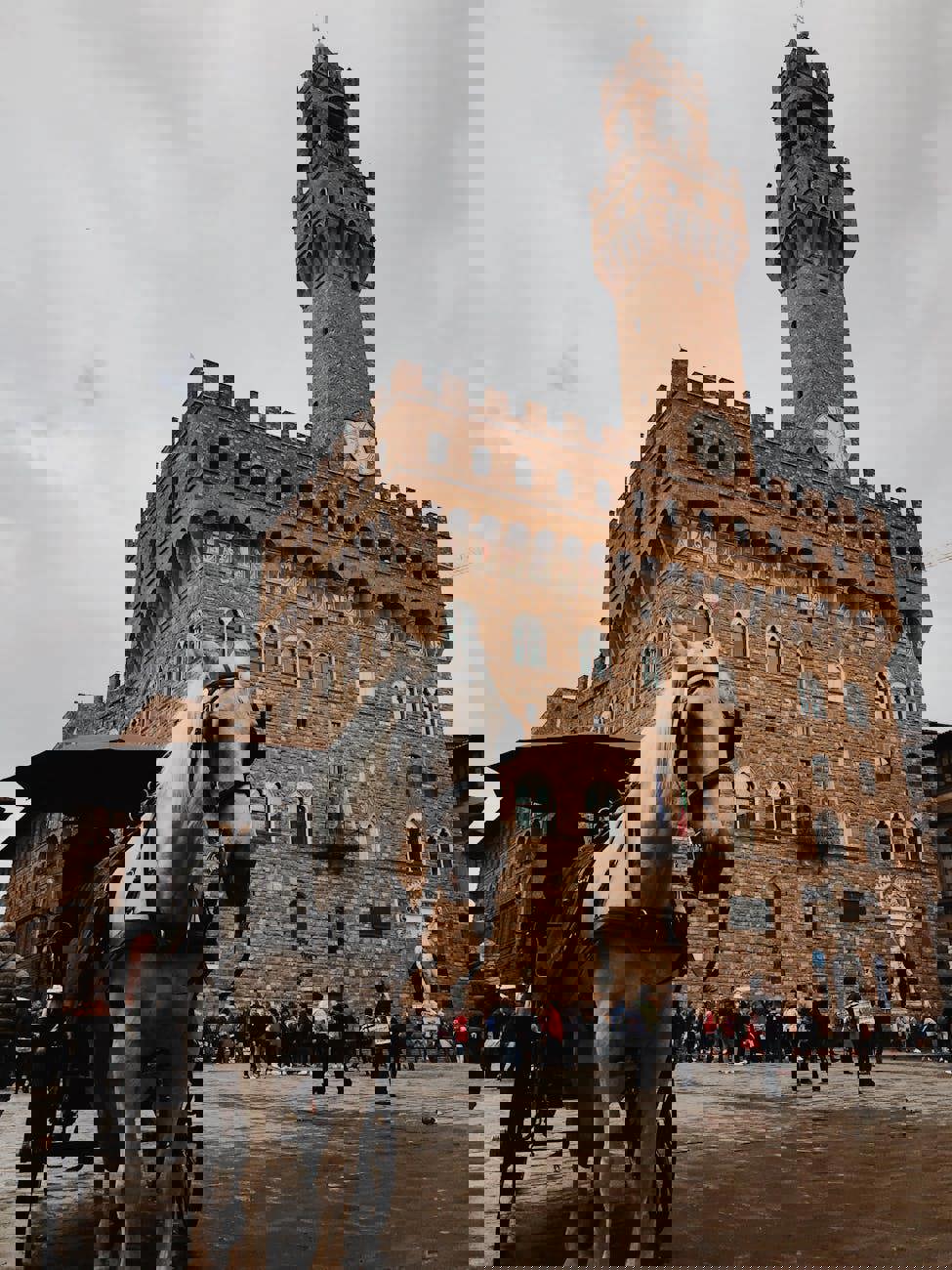 Firenze