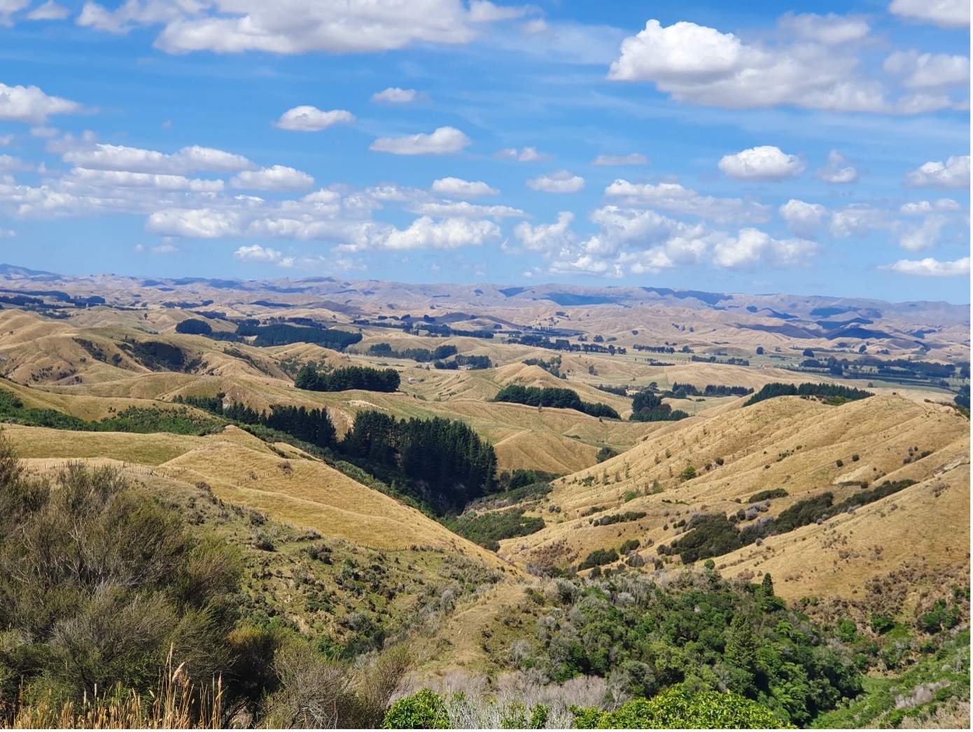 New Zealand