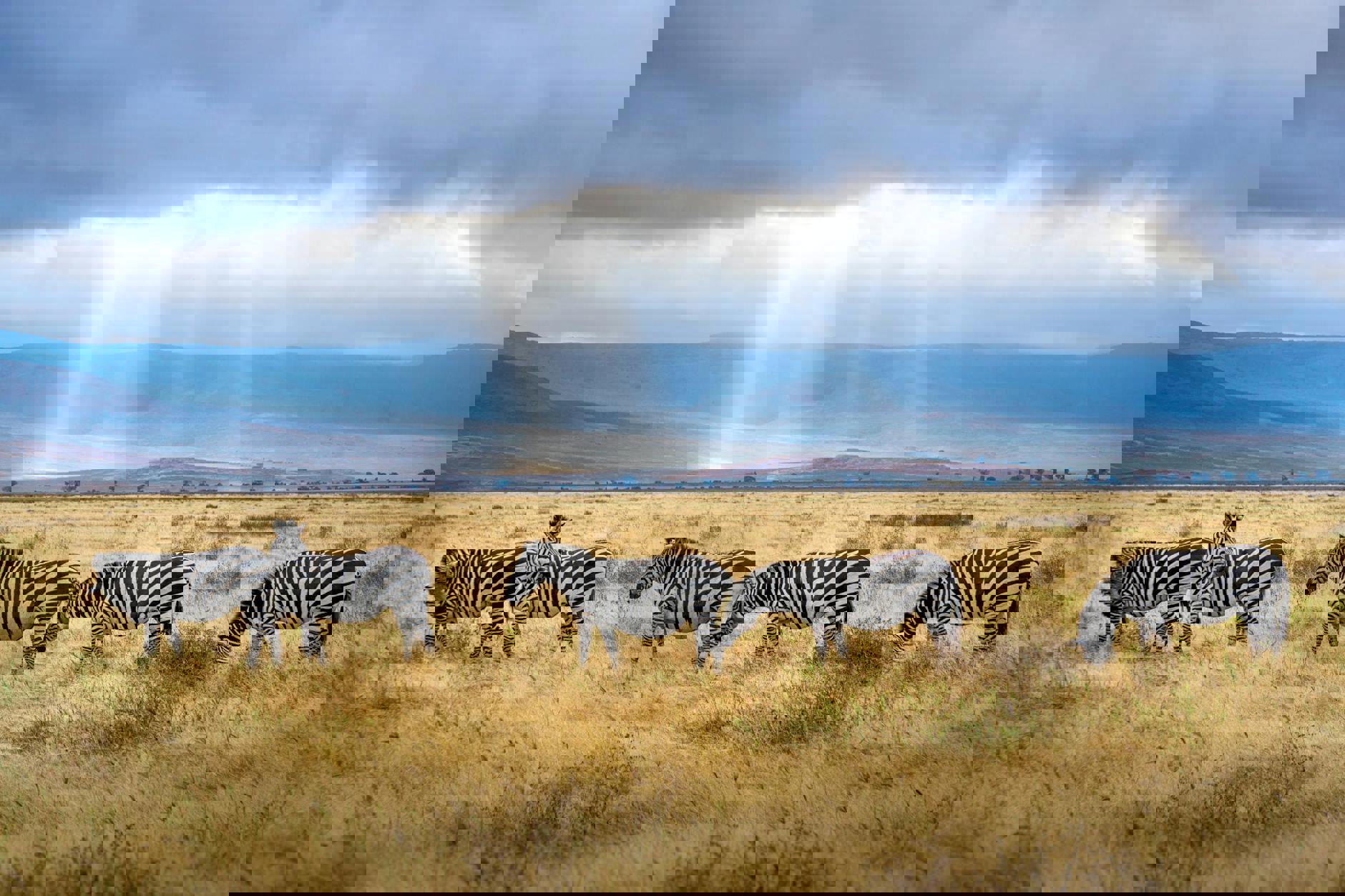 Tanzania